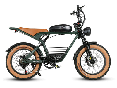 M20 Off Road E-Bike