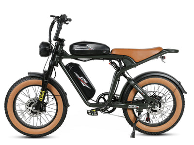 M20-III Off Road E-Bike