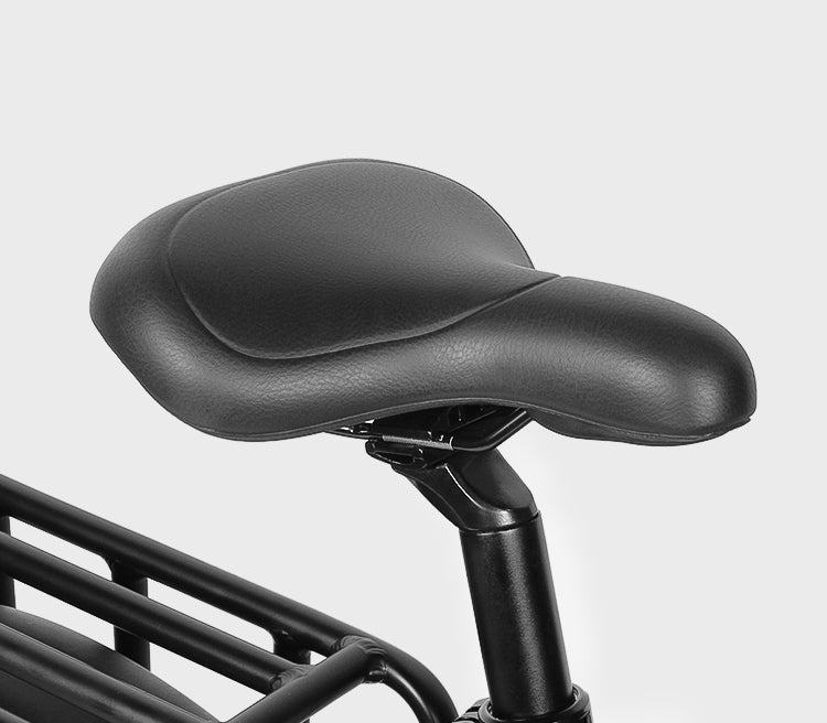 RS-A02 Plus Off Road E-Bike