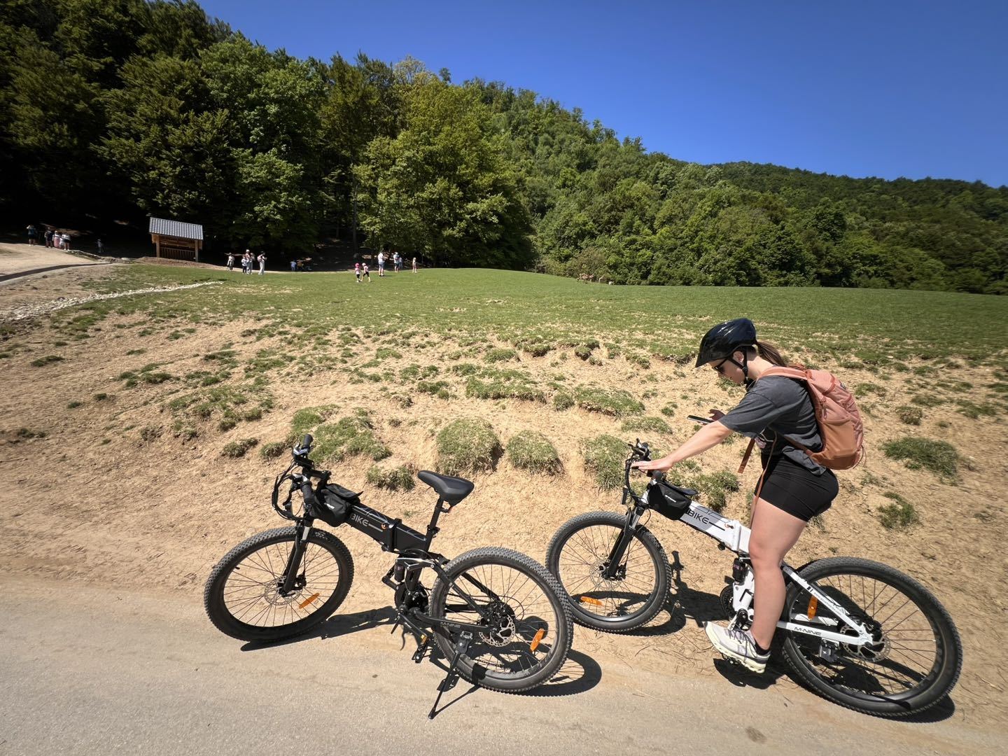 LO26-II-YD Foldable E-Bike