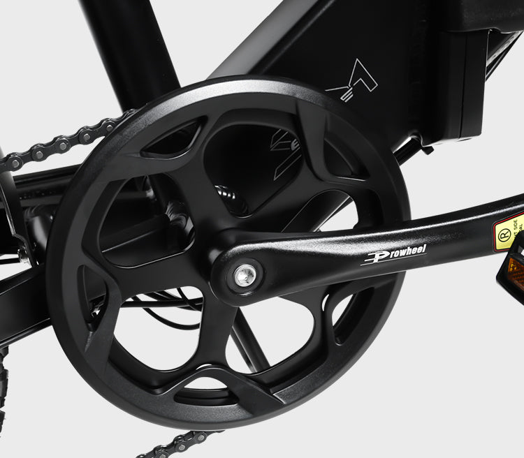 LOTDM200-II Foldable E-Bike