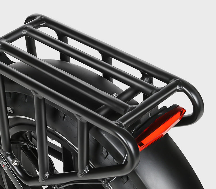 RS-A02 Plus Off Road E-Bike