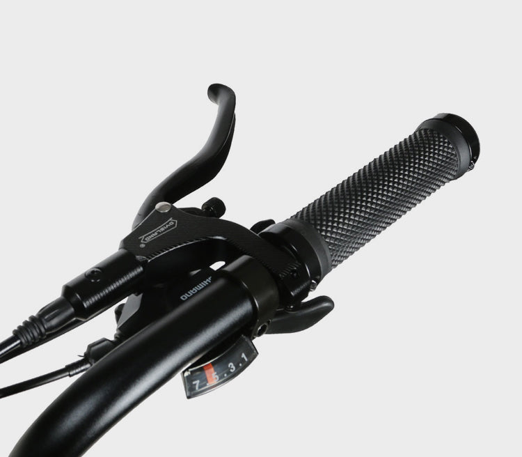 M20-III Off Road E-Bike