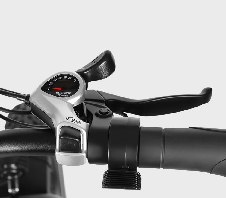 LOTDM200-II Foldable E-Bike