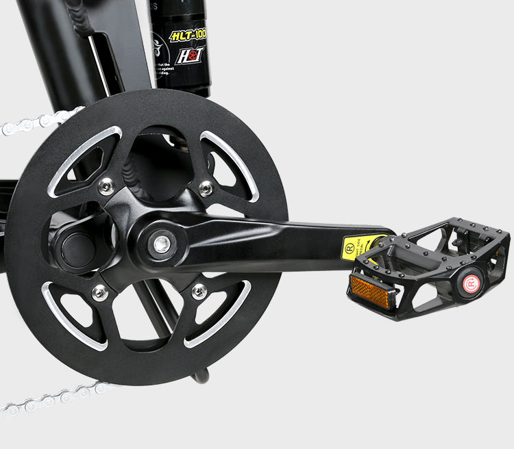 RS-A02 Plus Off Road E-Bike