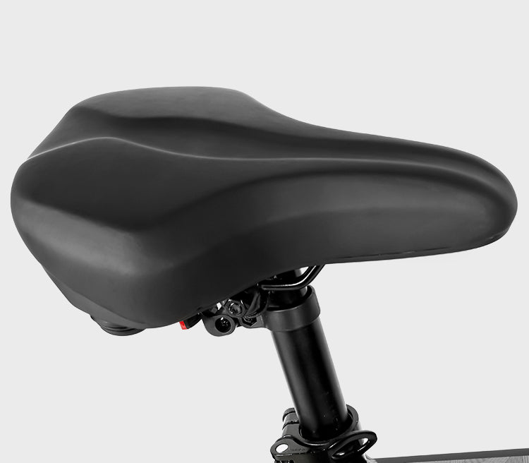 LO26 Plus Foldable E-Bike