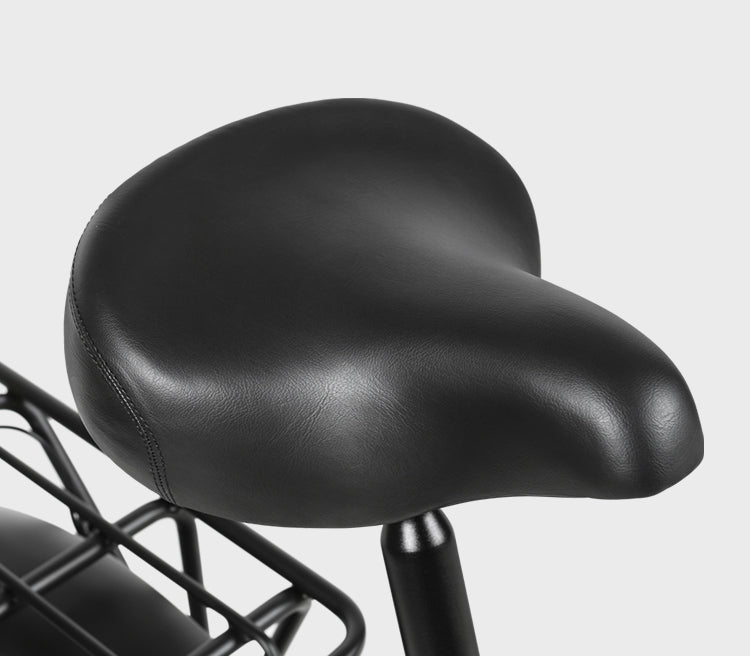 LOTDM200-II Foldable E-Bike