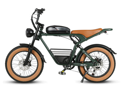 M20 Off Road E-Bike