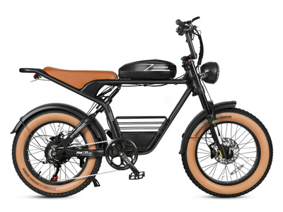 M20 Off Road E-Bike